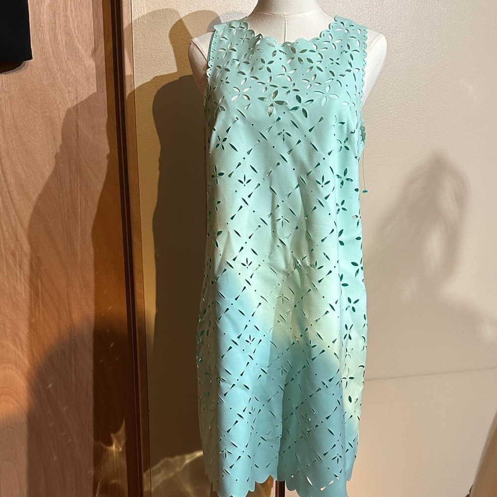 J. Crew Light Blue Eyelet Mini Dress